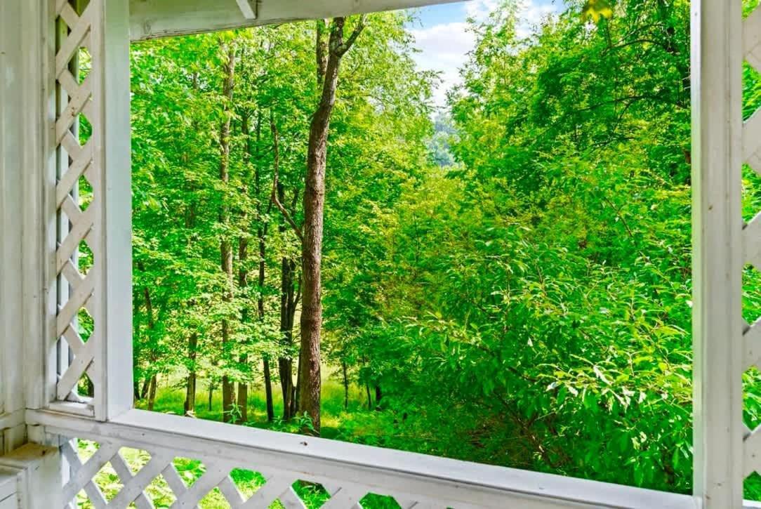 הוילה Big Stone Gap Gated Mansion - Basketball Court Movie Theater Views מראה חיצוני תמונה